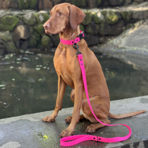 Luna's Essentials Hexa póráz