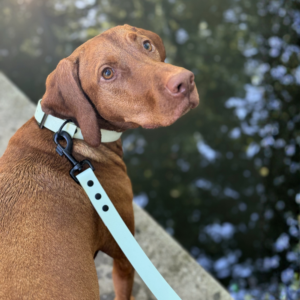 Luna's Essentials Terra nyakörv