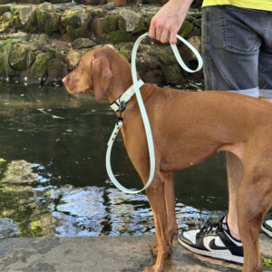 Luna's Essentials Terra póráz